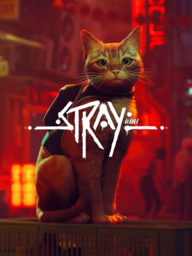 STRAY KITTE