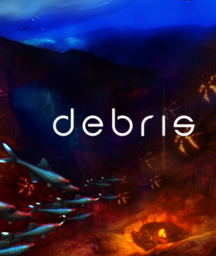 Debris
