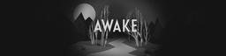 Sleep Awake