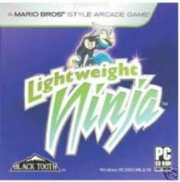 Lightweight Ninja