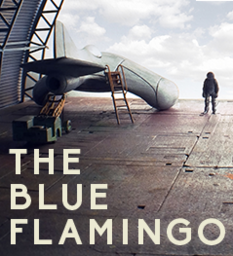 Proyecto Flamingo X1