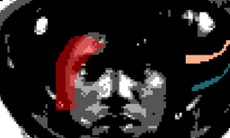 experiment: one