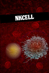 NKCell