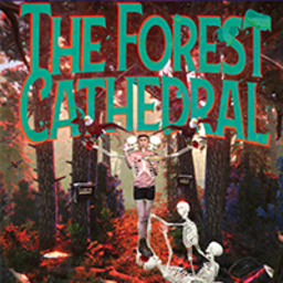 The Forest Cathedral
