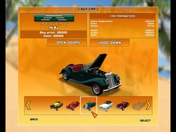 Classic Car Racing