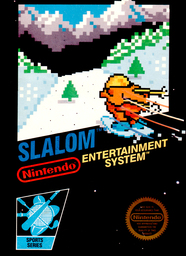 Ski / Skier / Slalom