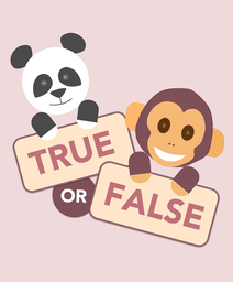 True or False Universe