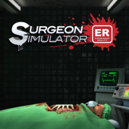 Reality Simulator