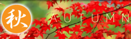 Smart Junior Academy: Autumn
