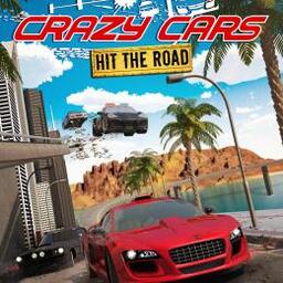 Crazy Road