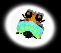 Greebles