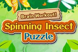 Brain Workout! Spinning Insect Puzzle