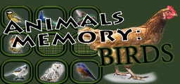 Poly Memory: Birds