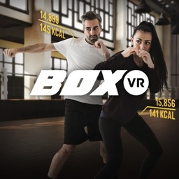THE BOX VR