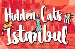 Hidden Cats in Istanbul