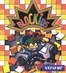 Blockids