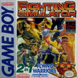 Fighting Simulator: 2-in-1 Flying Warriors - Hiryu no Ken Gaiden