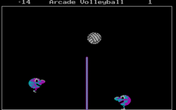 Arcade Volleyball