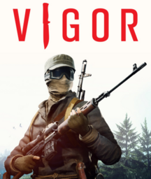 Vigor