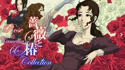 Camellia VR