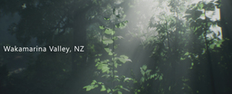 New Zealand Virtual Debating Chamber
