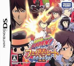 Katekyo Hitman Reborn DS: Fate of Heat