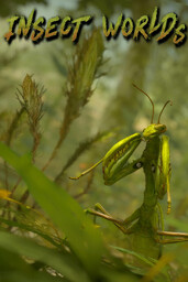 Insect Planet TD