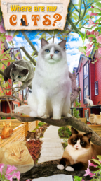 Where Cats?