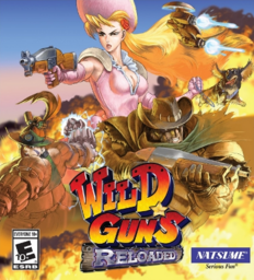 Solitaire Chronicles: Wild Guns
