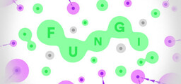 Fungi Fantastico