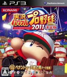 Jikkyou Powerful Pro Yakyuu 9 Ketteiban