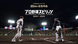 Professional Baseball Spirits 2014