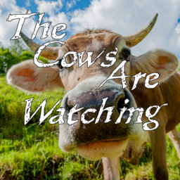Marcella Moon: Four Are Watching