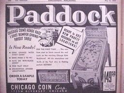 The Paddock
