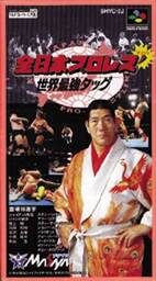 Zen-Nippon Pro Wrestling Dash: Sekai Saikyō Tag