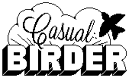 Casual Sport Series: Tennis