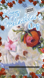 Happy Valentine's Day