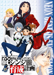 Neon Genesis Evangelion: Ayanami Raising Project