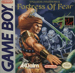Wizards & Warriors X: The Fortress of Fear