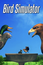 Evil Bird Simulator