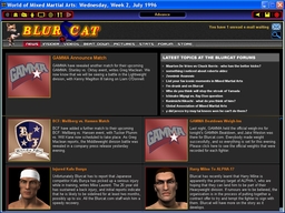 World of Mixed Martial Arts
