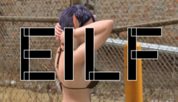 Eilf