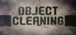 Mr Swing of the Window Cleaning Company