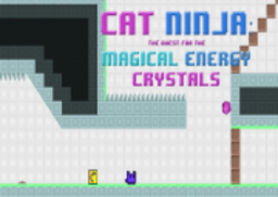 Super Ninja Meow Cat