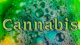 Cannabis Farmer Strain Master