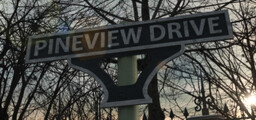 Passing Pineview Forest