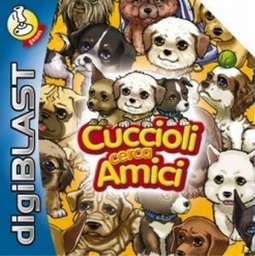 Amici