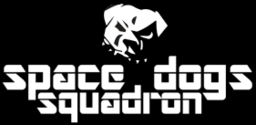 Space Force Squadron