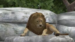 My Free Zoo