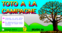 Toto a la plage